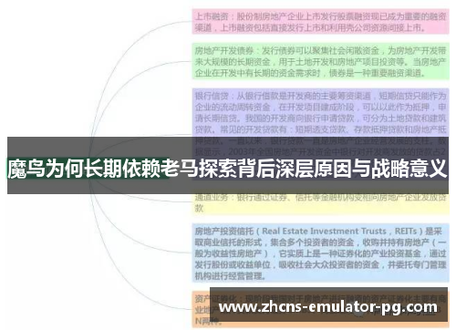 魔鸟为何长期依赖老马探索背后深层原因与战略意义